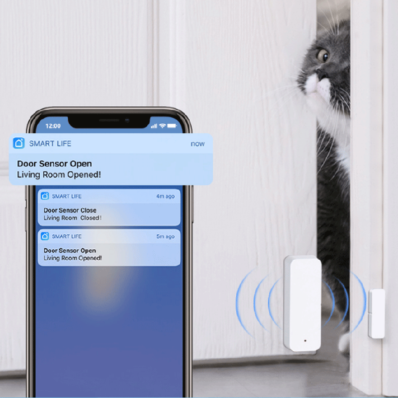 Sensor Kontak Jendela Pintu Tu - Smart Home Internet ulasan dan harga